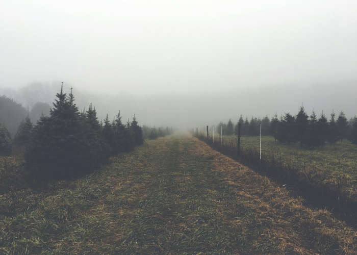 深圳新一轮疫情挑战严峻，2月14日新增病例及累计病例情况